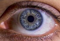 Лекарство для глаз корнерегель при повреждении роговицы