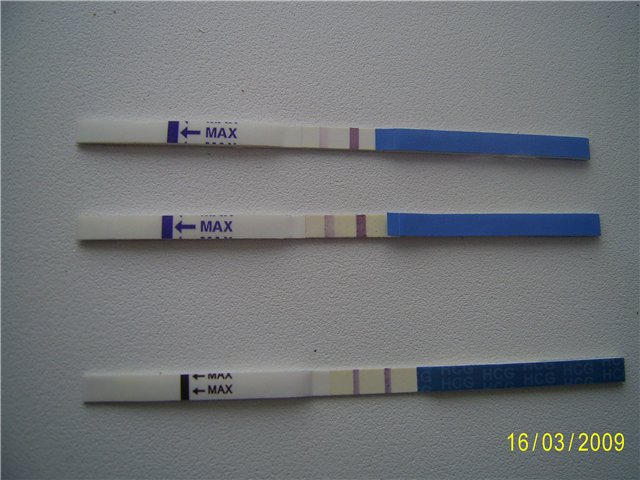 Тест на беременность две полоски как выглядит