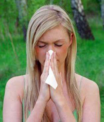 Из за чего бывает аллергия причины thumbnail