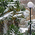 Пальмы в снегу или Санатории Ялты