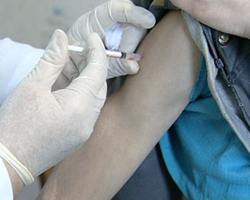 Как делают прививку от свиного гриппа