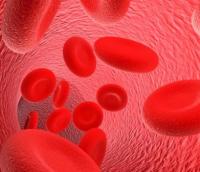Как поднять гемоглобин за неделю: эффективные способы лечения малокровия. Как поднять гемоглобин за неделю и можно ли это сделать в домашних условиях.