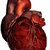 Аневризма сердца