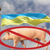 Свиной грипп. Украина в опасности?