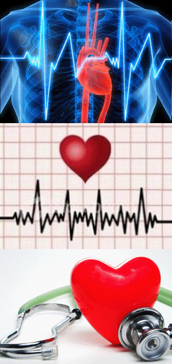 Учащенный пульс и сердцебиение: причины, лечение, профилактика