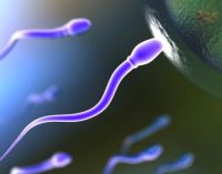 Подробно о контрацепции: внутриматочная спираль
