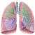 Питание при бронхите и воспалении лёгких