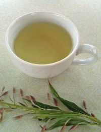 Иван чай лечение хронического бронхита