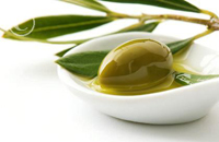 Оливковое масло в борьбе с растяжками