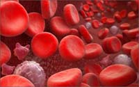 Причины повышения и понижения уровня тромбоцитов в крови