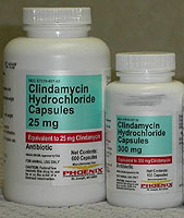 Группа линкозамидов. Клиндамицин