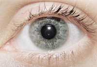 Необычные факторы, влияющие на остроту зрения
