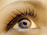 Амблиопия, косоглазие, близорукость и другие патологии органа зрения