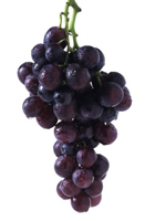 Целебные свойства винограда