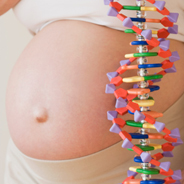 Генетическое консультирование до и во время беременности