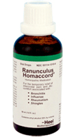 Ранункулюс-Гомаккорд (Ranunculus-Homaccord)
