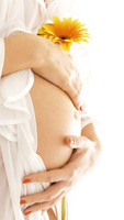 Фитолизин и другие фитопрепараты, принимаемые при беременности
