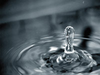 Влияние фтористых соединений на воду