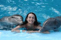 Дельфинотерапия в Анапе