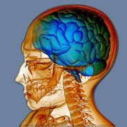 Внутричерепное давление при черепно-мозговых травмах