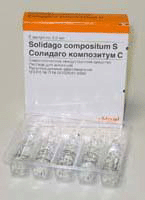 Солидаго композитум (Solidago compositum S)