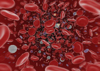 Народная медицина в борьбе с повышенным уровнем тромбоцитов в крови