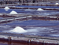 Производство морской соли
