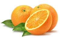 Общие сведения об апельсине