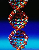 Генетика человека – общие сведения
