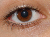 Препарат атропин – глазная мазь