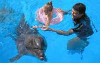 Дельфинотерапия в Одессе