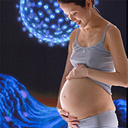 Анализ мочи при беременности