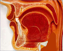 Лейкоплакия полости рта - диагностика