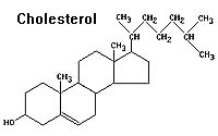 Что такое холестерин?
