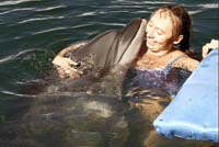 Дельфинотерапия в Евпатории