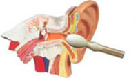 Заложенность уха при тубоотите