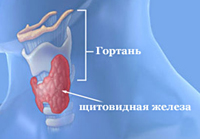 Гипоплазия щитовидной железы