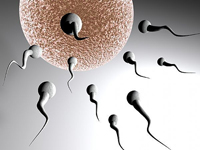 Спермограмма. Что это за анализ?