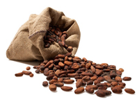 Какао бобы и их полезные компоненты