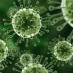 27 смертельно опасных инфекционных заболеваний