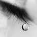 Слезы радости отличаются от слез горя 