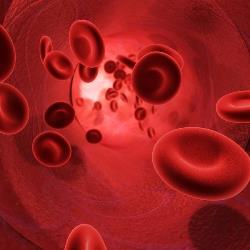 Как обозначается ферритин в биохимическом анализе крови