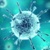 Вирус Коксаки – диагностика и лечение энтеровирусной инфекции у детей и взрослых. Что делать, если ребенок заразился вирусом Коксаки?