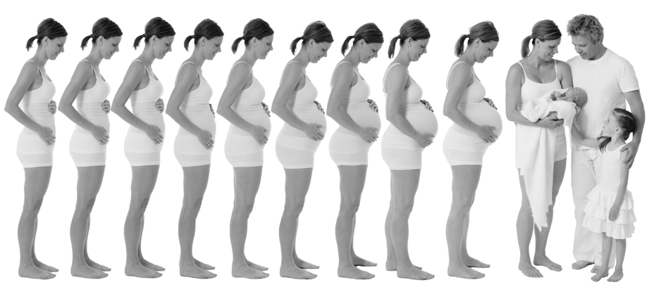 Размер живота беременных